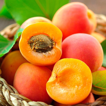 Персик - абрикос